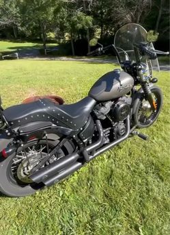 Harley Davidson street Bob