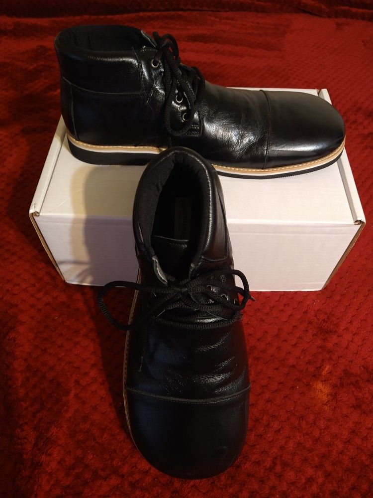 Professional Clown Shoes