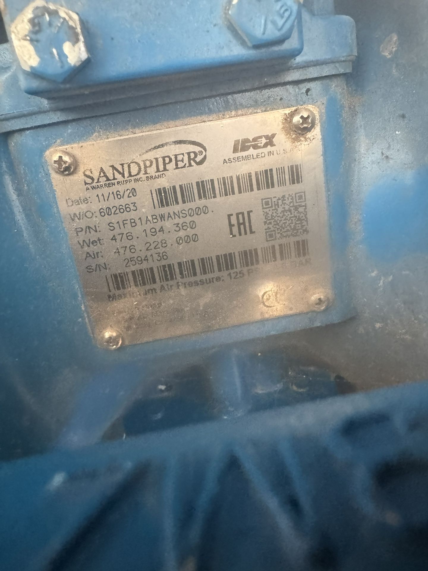 sandpiper