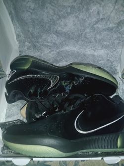 LeBron Xx1
