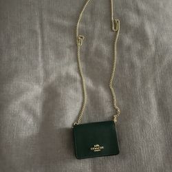 Coach Mini Macro Crossbody 