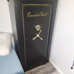 Gun Safe 