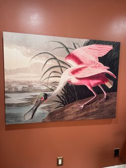 Rosetta spoonbill large art