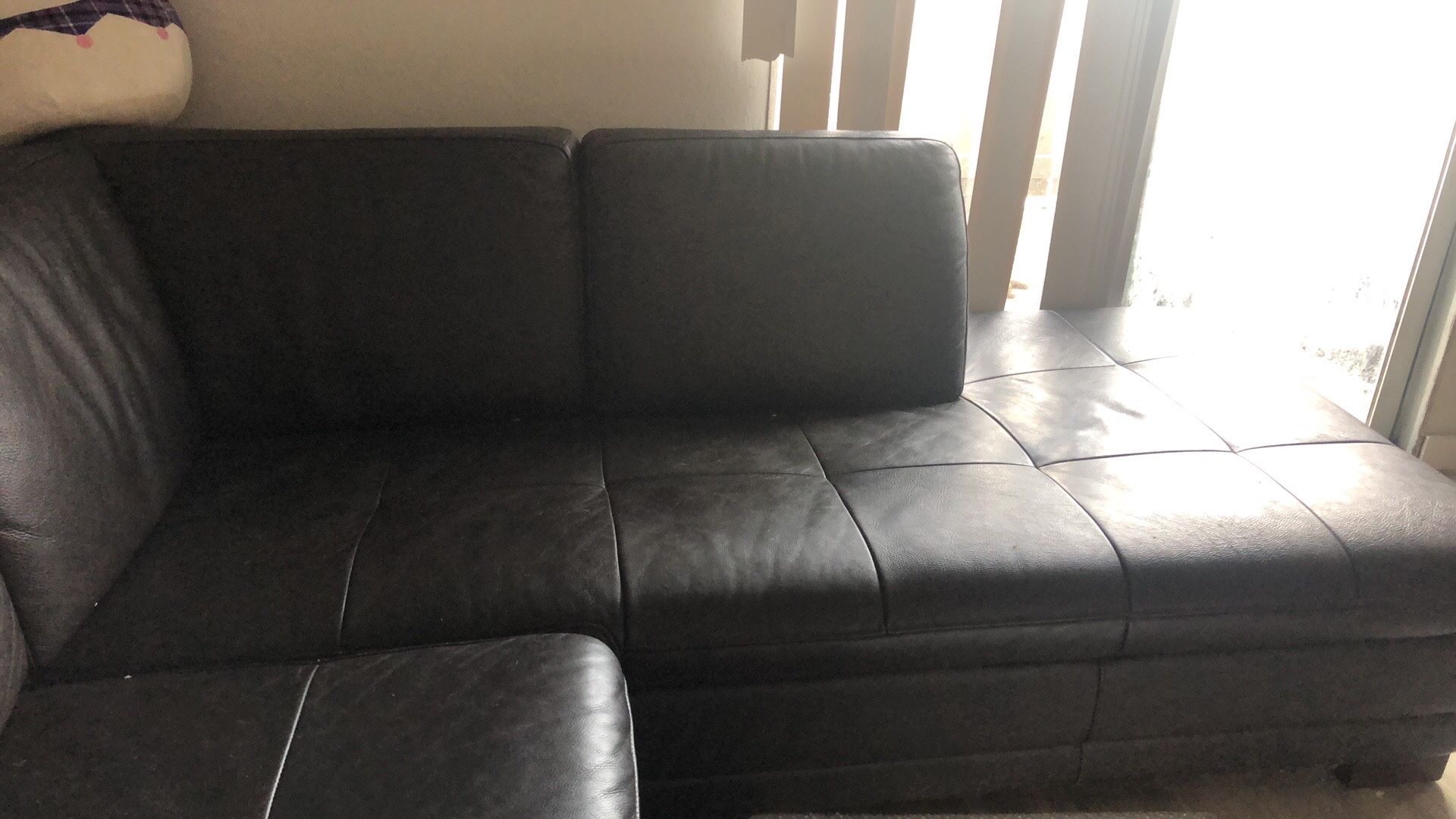 Large L Couch 