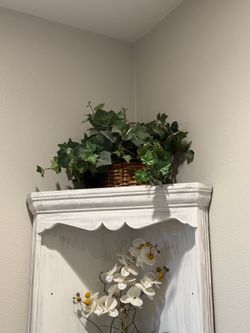 Silk Plants