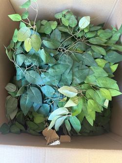 FREE fake ficus leaf bundles