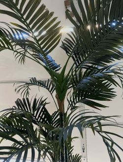 Artificial plant with planter