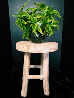 Vintage handcrafted rustic stool featuring a round cedar log seat and legs 14"×16".