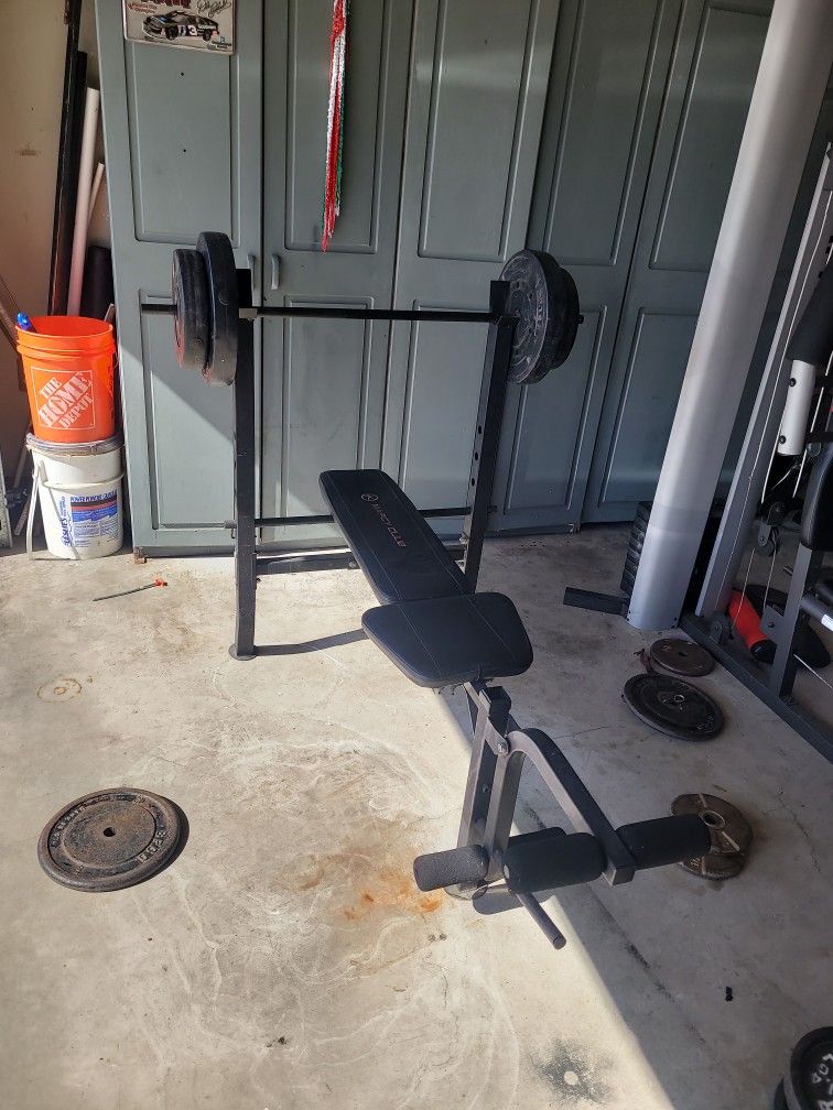 Bench Weight 