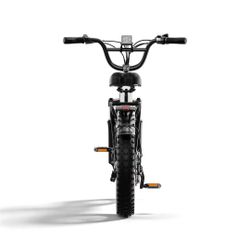 New Cybervelo EK10 electric bike/ e-bike for adult 26'' tier 48V 25AH 80 Miles