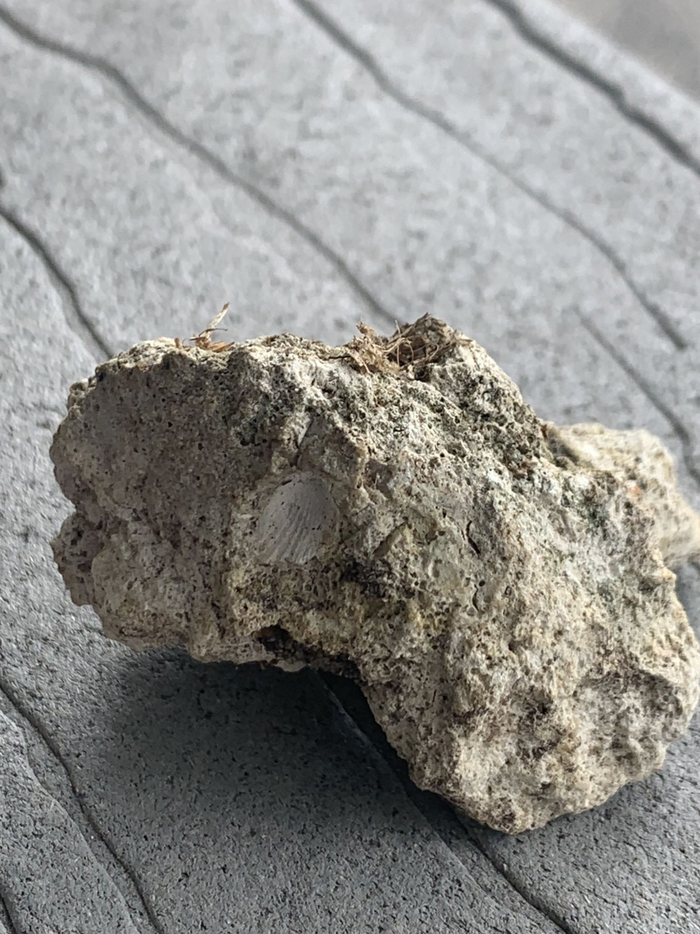 Random Rock I Found