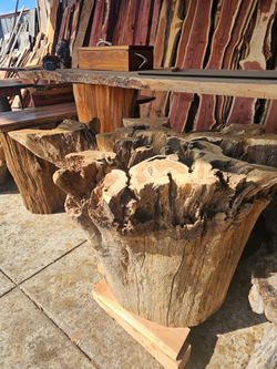 Dinning Tables on root stump base