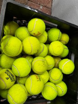 Tennis balls 🎾 used