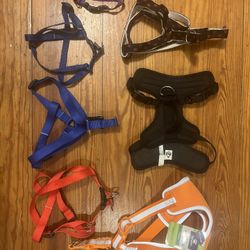 Dog Harnesses