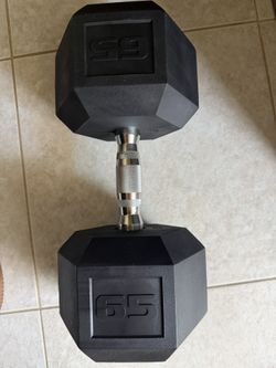 Dumbbell Weight - Single  65 Lb