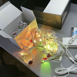 Govee Permanent Outdoor Lights 2, 100ft