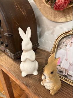 two adorable bunnies