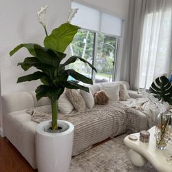 Vendo Planta Decorativa / New 