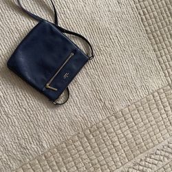 Blue Baggalini crossbody bag