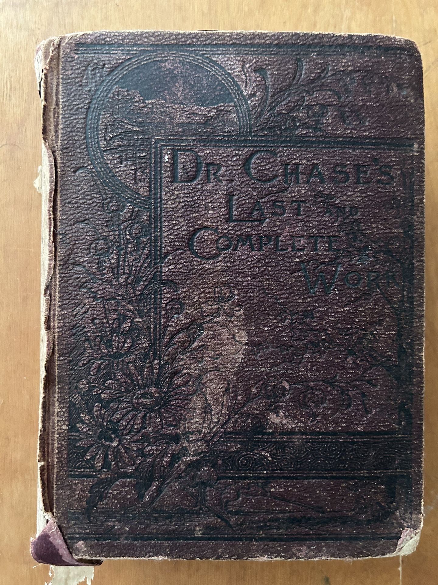 Dr Chase’s Last And Complete Set 1887