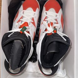 Size 13 Like Mike Jordan 6s