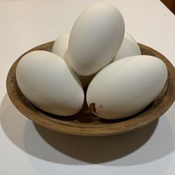 5 Empty Blown One Hole White Goose Eggs 3 3/4”