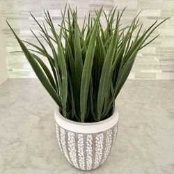 Decorative Potted Plant