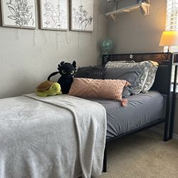 Twin Frame & Twin Mattress 
