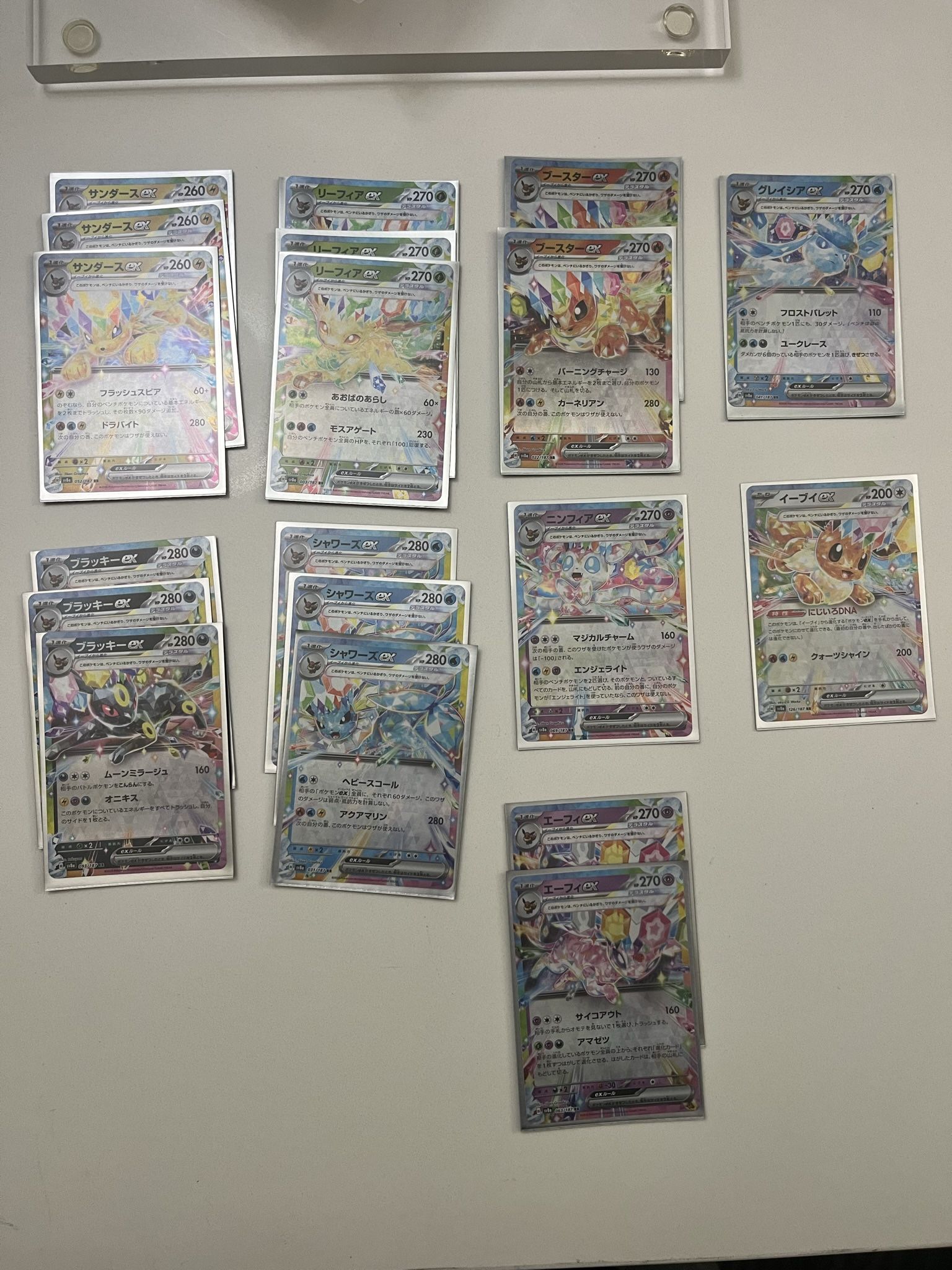 Pokemon Terastal Festival