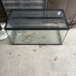 50 gallon tank