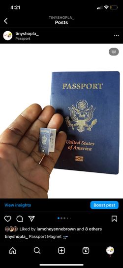 Passport Magnet 