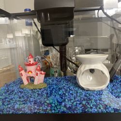 5.5 Gallon Fish Tank & Other Stuff 