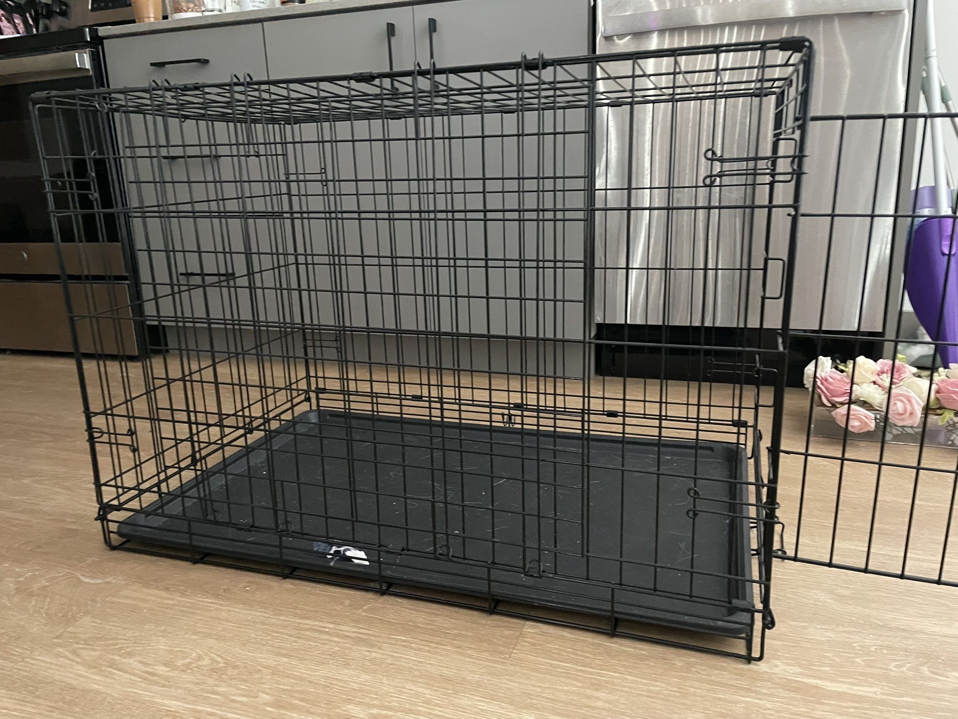 Black Dog crate