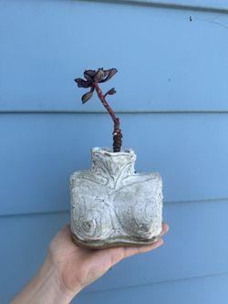 Handmade Ceramic Human Bust Planter With Succulent