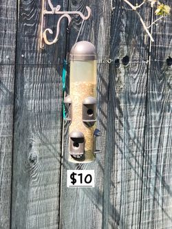 Tall bird Feeder with Bird Feed