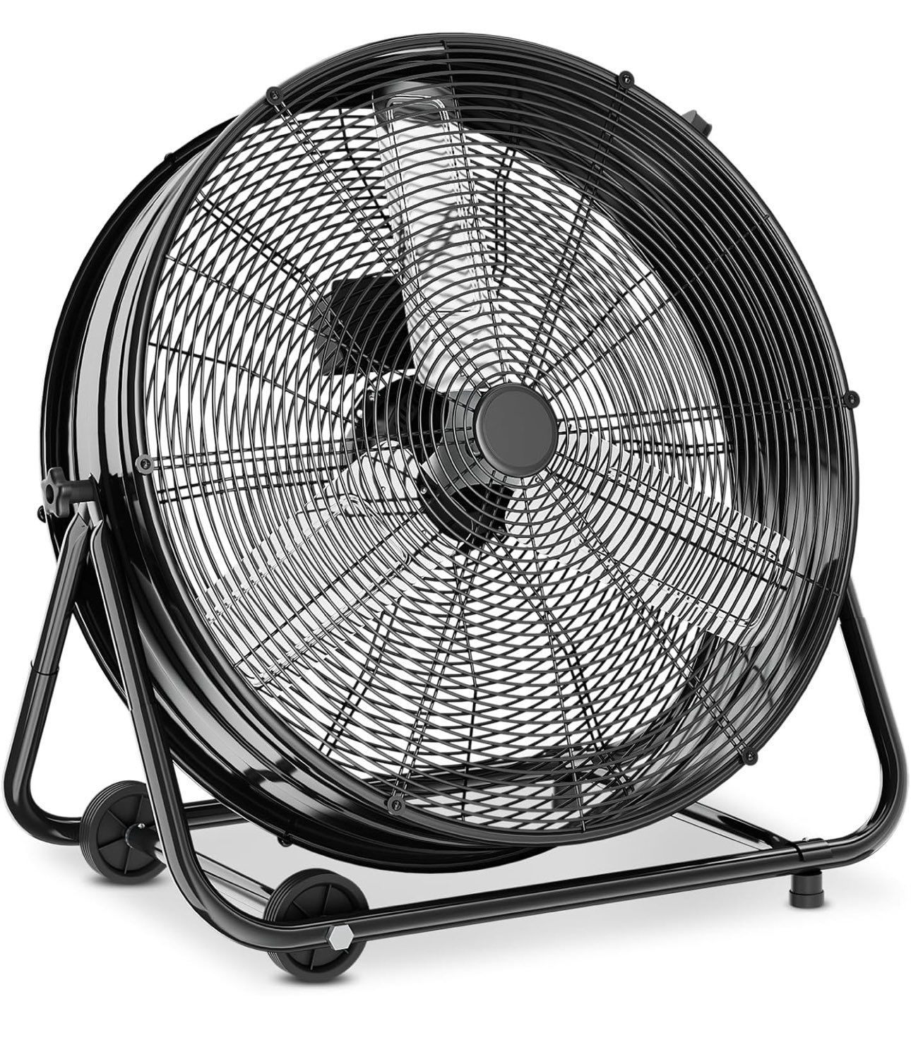 Fan
