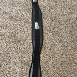 Lifting Belt