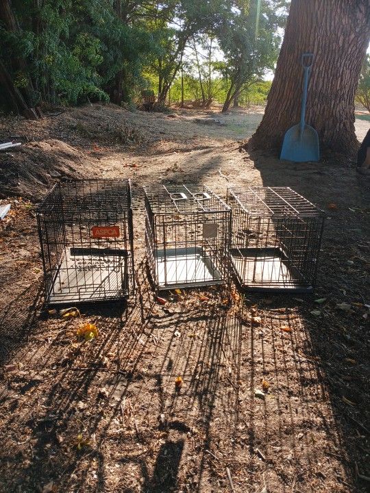 Pets Carrier