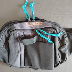 Waist Packs, Fanny packs 