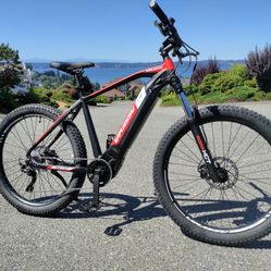 E BIKE ( WITH UPGRADES) "NO TRADES"