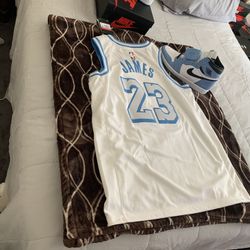 Lebron James Nike Swingman Jersey Large  