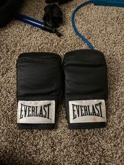 Everlast Training Boxing Gloves