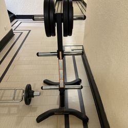 RUBBER COATED OLYMPIC WEIGHT PLATES  AND WEIGHT STAND (BRAND NEW CONDITION)