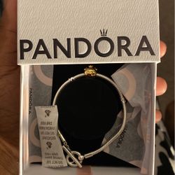 Pandora Charm Bracelet. 