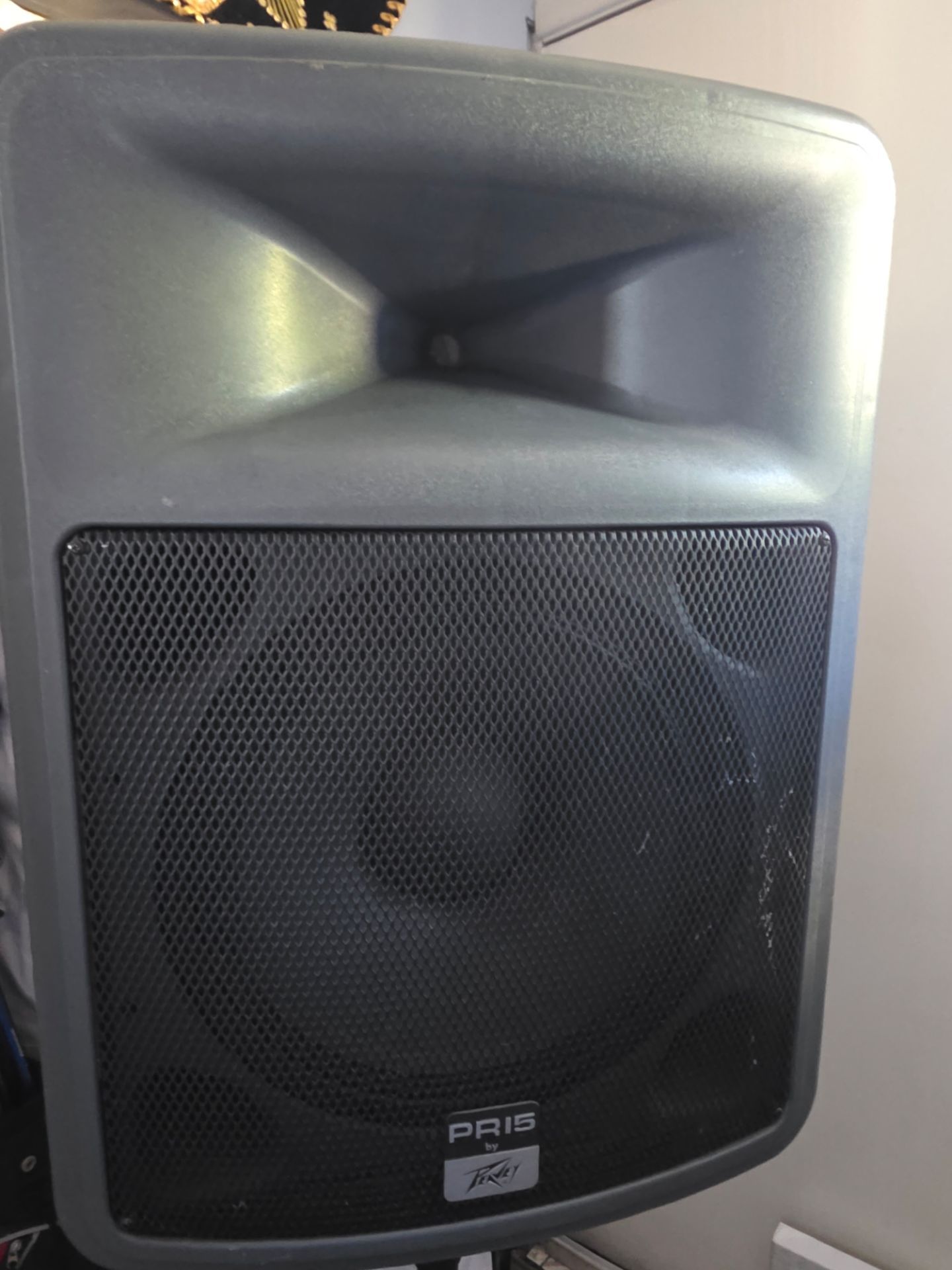 Peavey PR15 SPEAKER