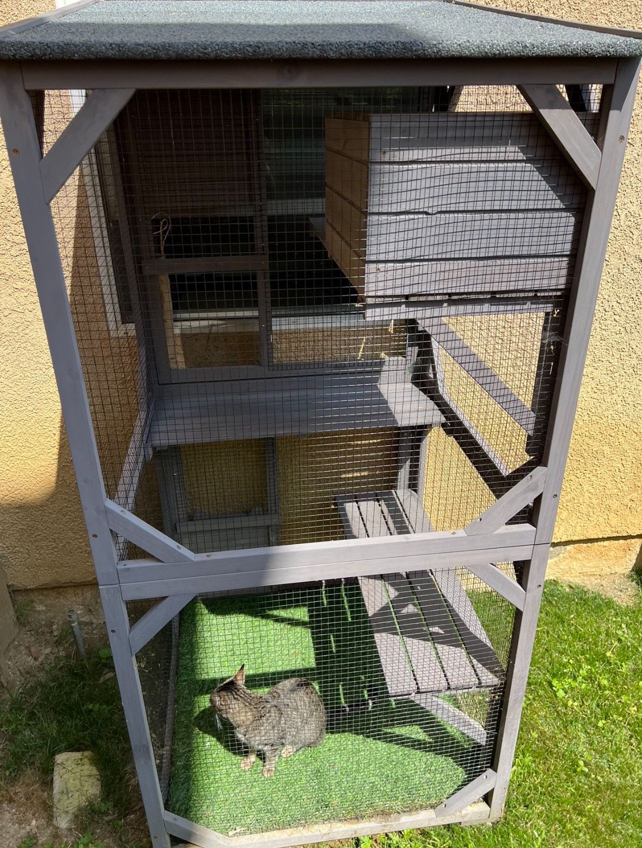 Catio