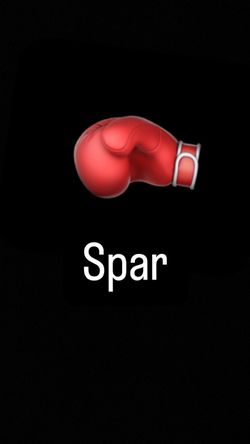 Meet to spar near