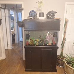 55 Gallon Aquarium 