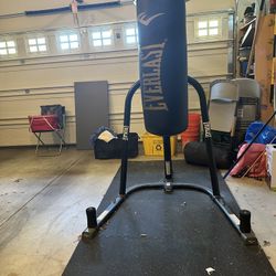 Punching Bag, Stand, And Mat