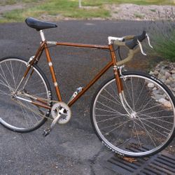Raleigh Super Course—Fixed Gear